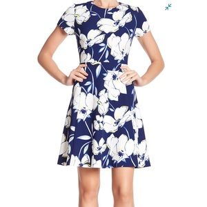Eliza J White and Blue Floral Dress